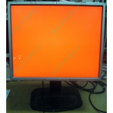 Монитор 19" TFT HP 1955 (DVI в Саранске, USB-хаб) "квадратный" (Саранск)
