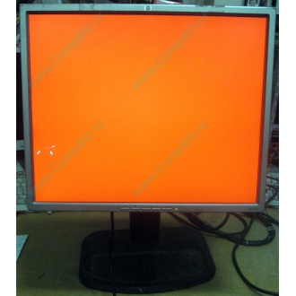 Монитор 19" TFT HP 1955 (DVI в Саранске, USB-хаб) "квадратный" (Саранск)