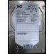 HP 454228-001 146Gb 15k SAS HDD (Саранск)