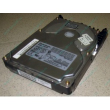 Жесткий диск 18.4Gb Quantum Atlas 10K III U160 SCSI (Саранск)