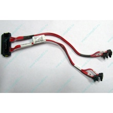 SATA-кабель для корзины HDD HP 451782-001 459190-001 для HP ML310 G5 (Саранск)