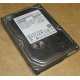 HDD 500Gb Hitachi HDS721050DLE630 донор на запчасти (Саранск)