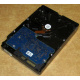 Электроника HDD 500Gb Hitachi HDS721050DLE630 (Саранск)