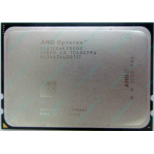 AMD Opteron 6128 OS6128WKT8EGO (Саранск)